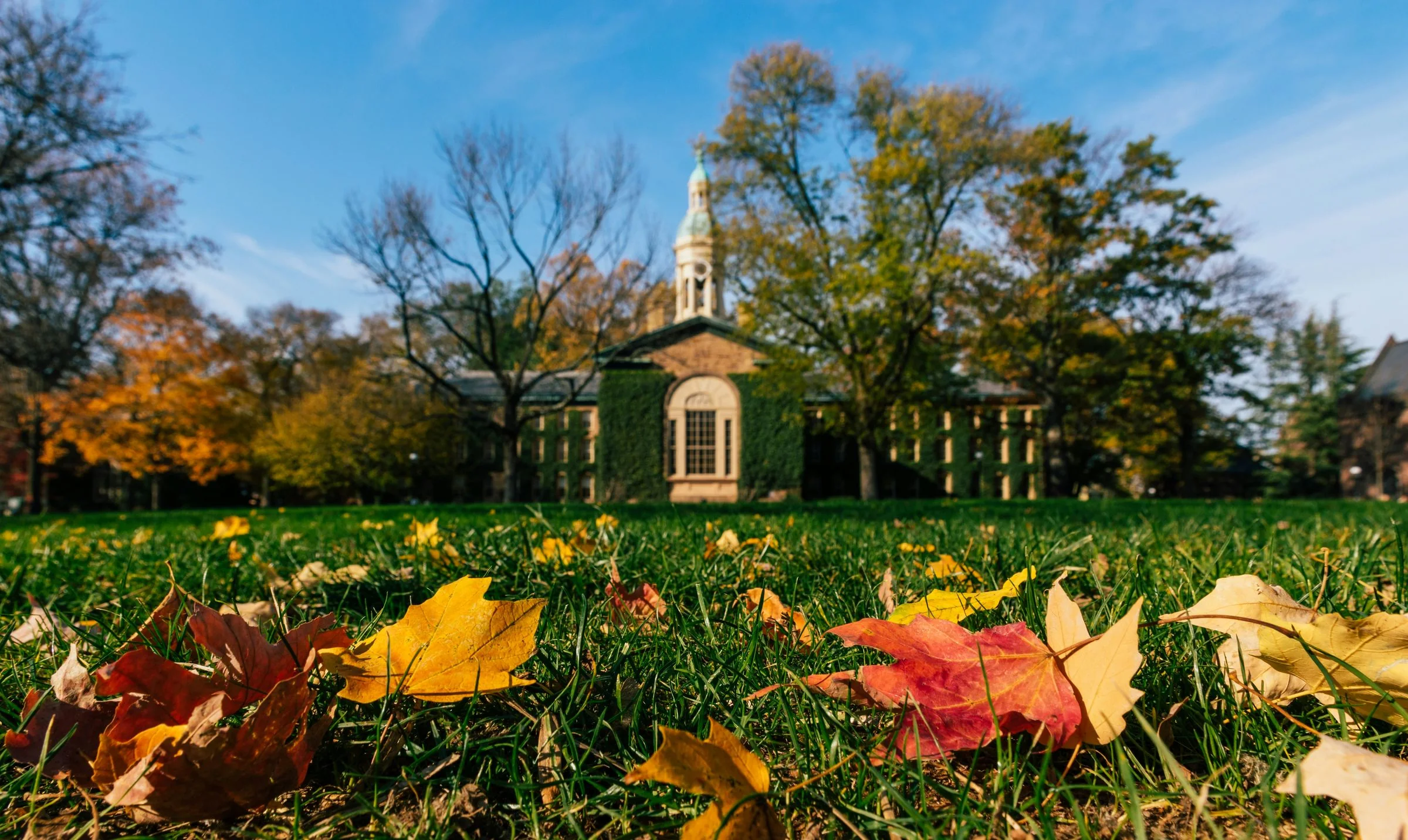 A campus walkway lined with autumn trees.