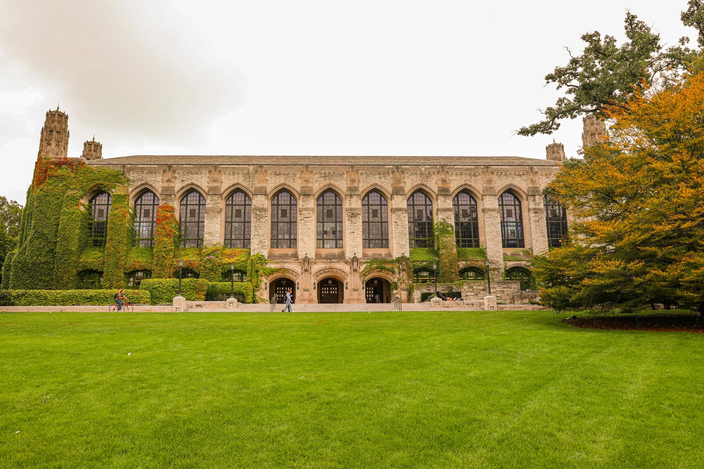 Historic campus library framed by trees.