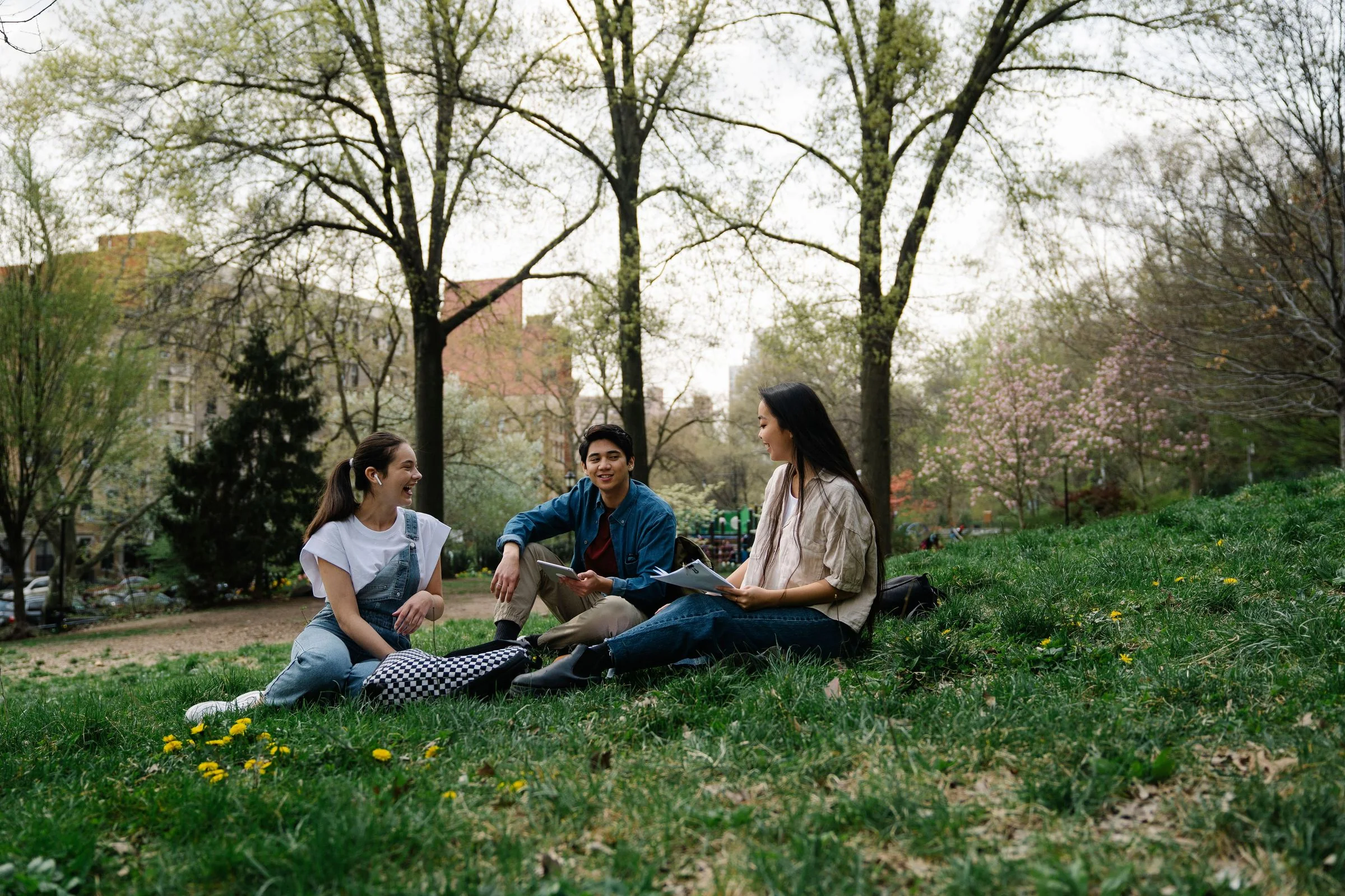 Students studying together outside on a college campus.